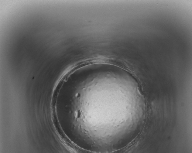 X0000060260102200511041400