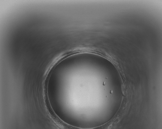 X0000060260103200511041400