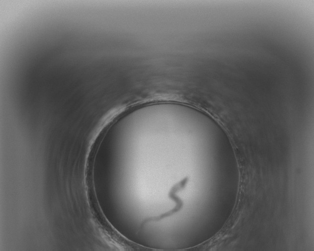 X0000060260104200511041400