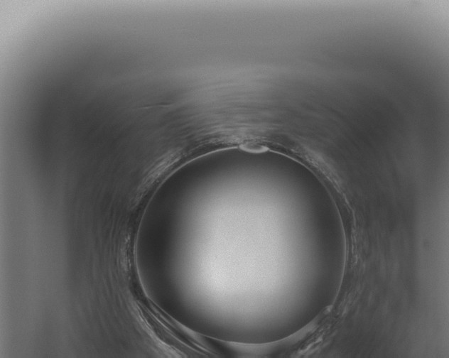 X0000060260105200511041400