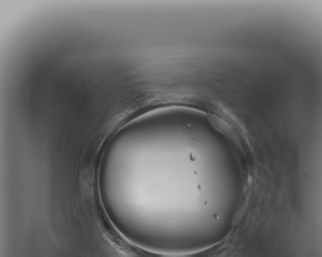 X0000060260107200511041400