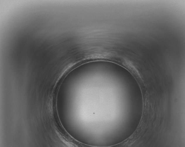 X0000060260108200511041400