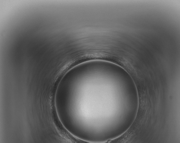 X0000060260111200511041400