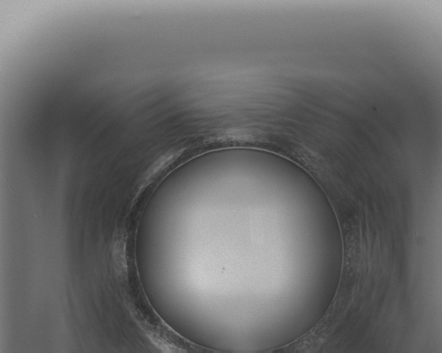 X0000060260112200511041359