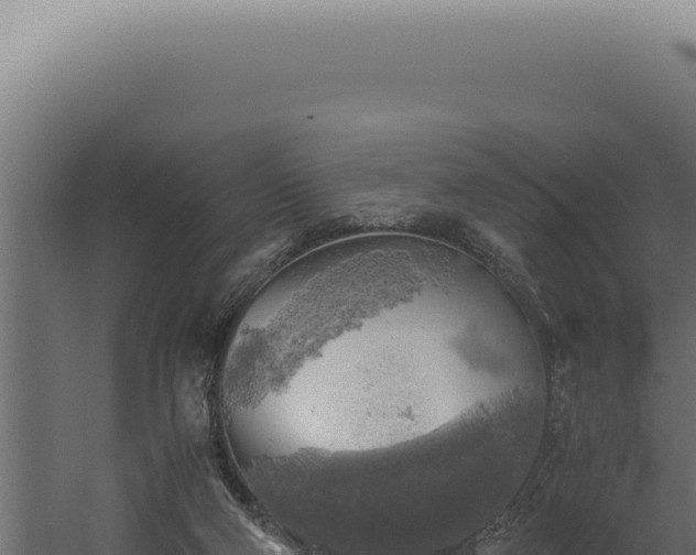 X0000060260114200511041359