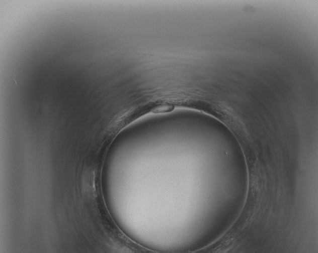 X0000060260115200511041359