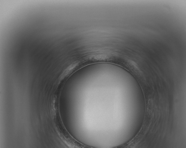 X0000060260116200511041359