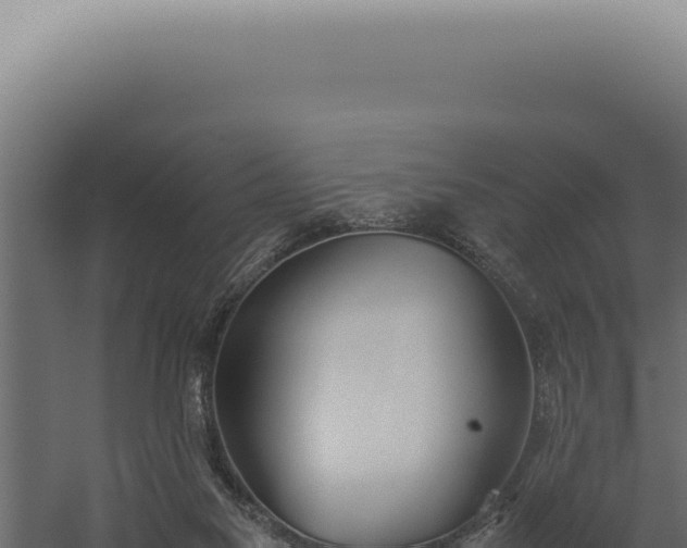 X0000060260117200511041359