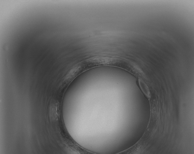 X0000060260119200511041359