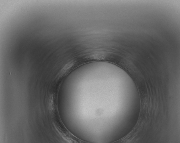 X0000060260120200511041359