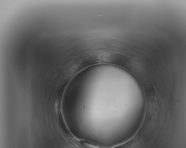 X0000060260123200511041359