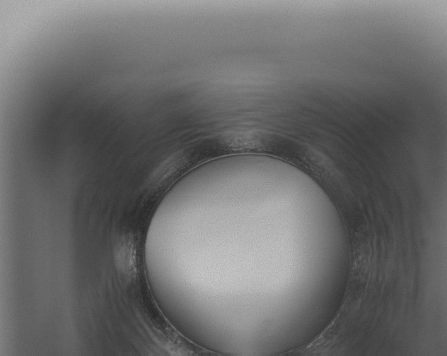 X0000060260124200511041359