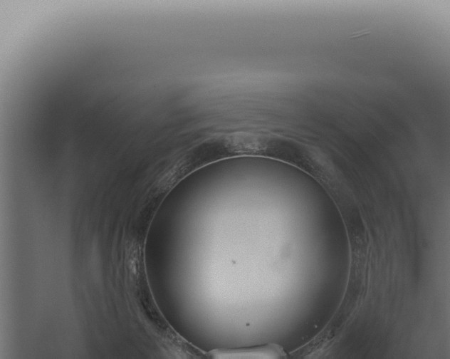 X0000060260125200511041359