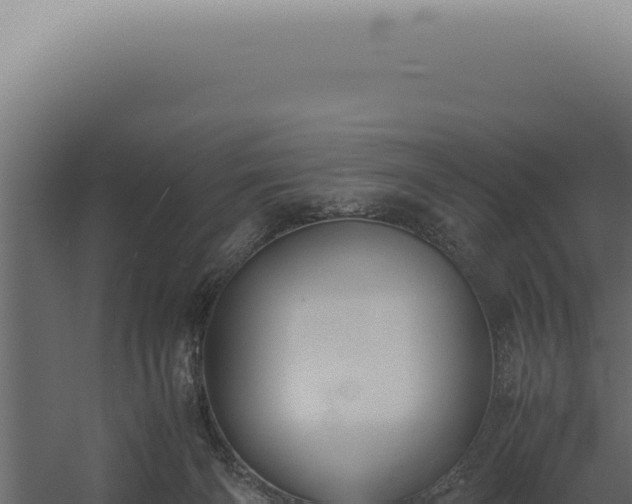 X0000060260126200511041359