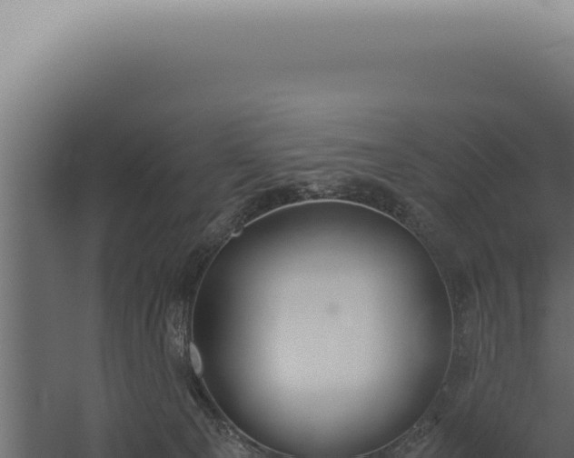 X0000060260129200511041359