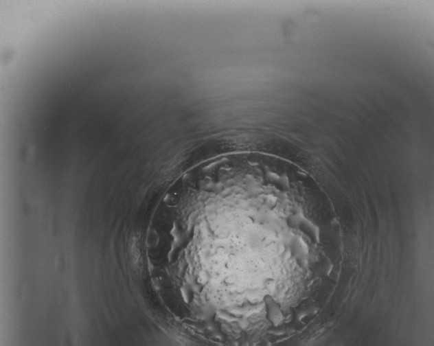 X0000060260131200511041359