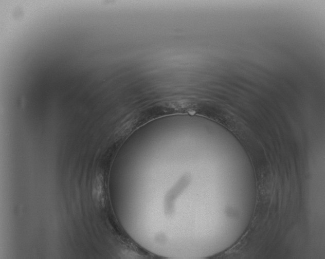 X0000060260132200511041359