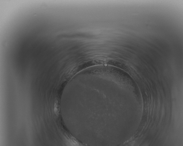 X0000060260134200511041359