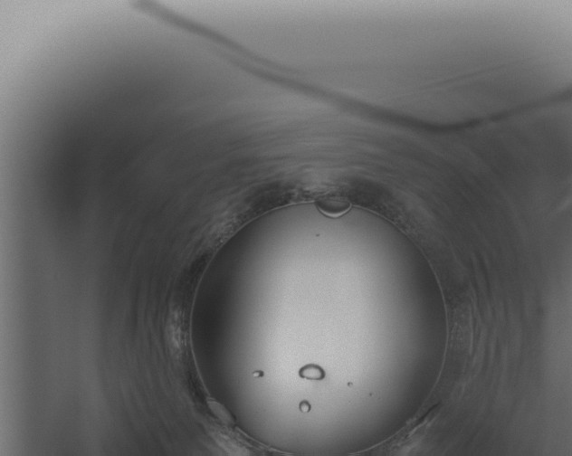 X0000060260135200511041359