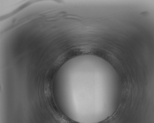 X0000060260136200511041359