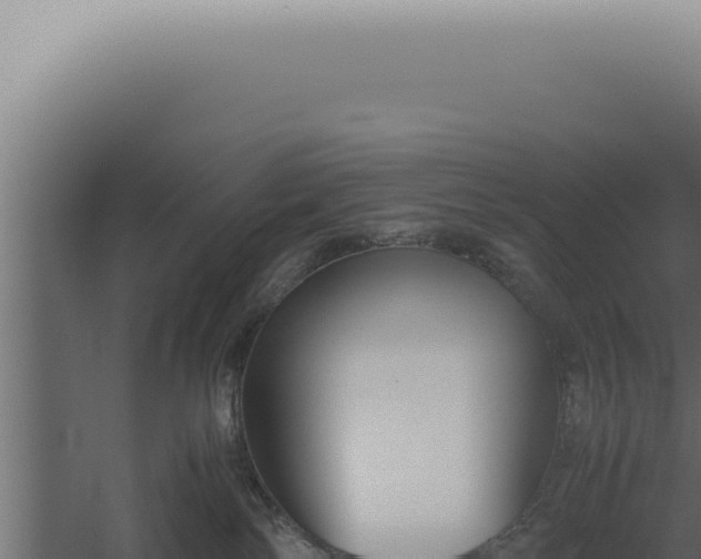 X0000060260138200511041359