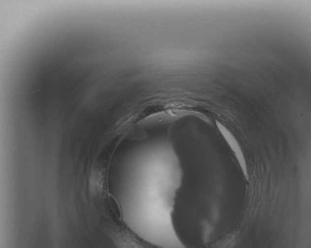 X0000060260139200511041359