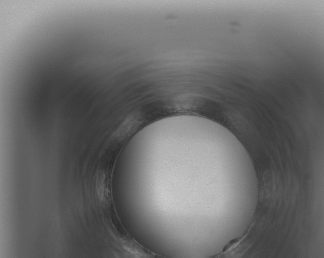 X0000060260140200511041359