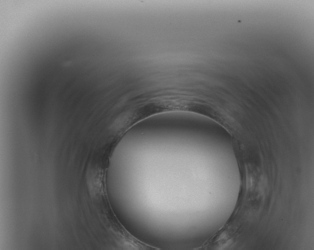 X0000060260141200511041359