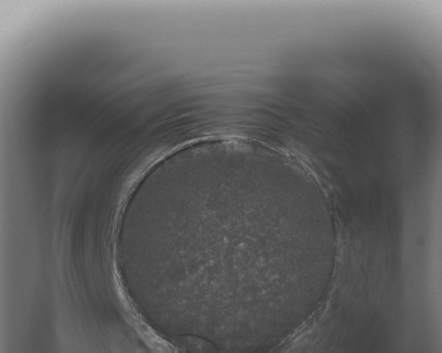 X0000060260145200511041358