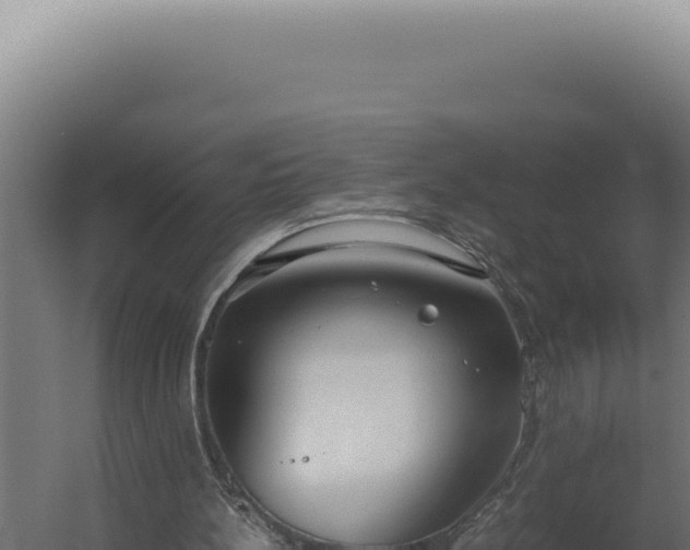 X0000060260148200511041358