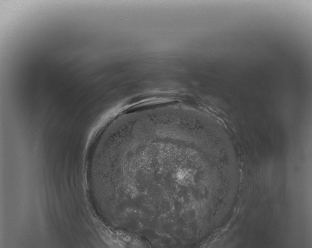 X0000060260149200511041358