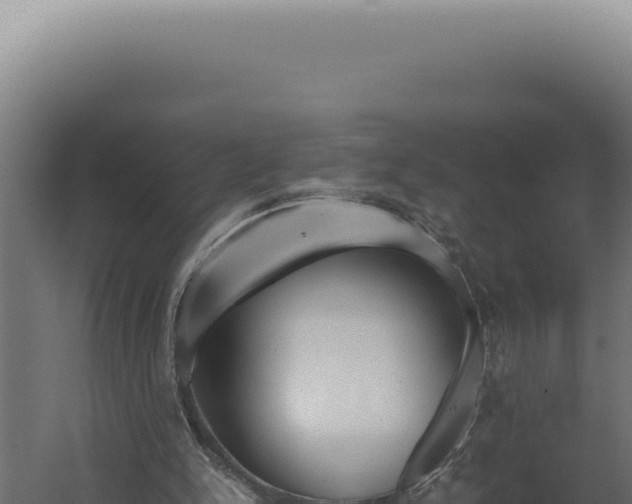 X0000060260150200511041358