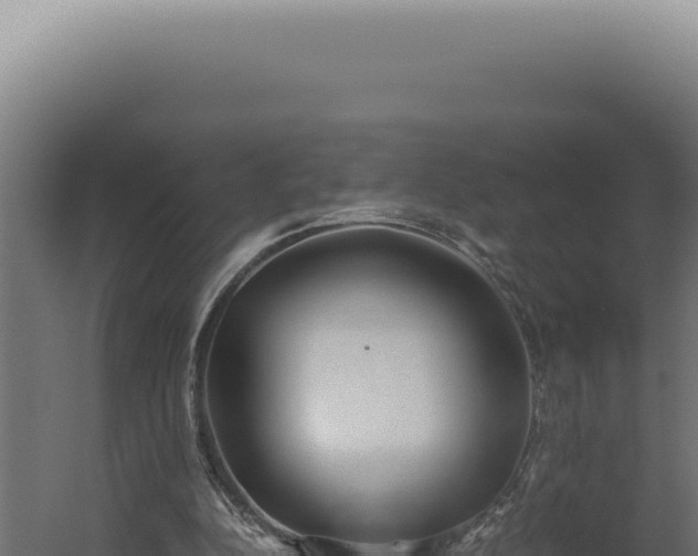 X0000060260152200511041358