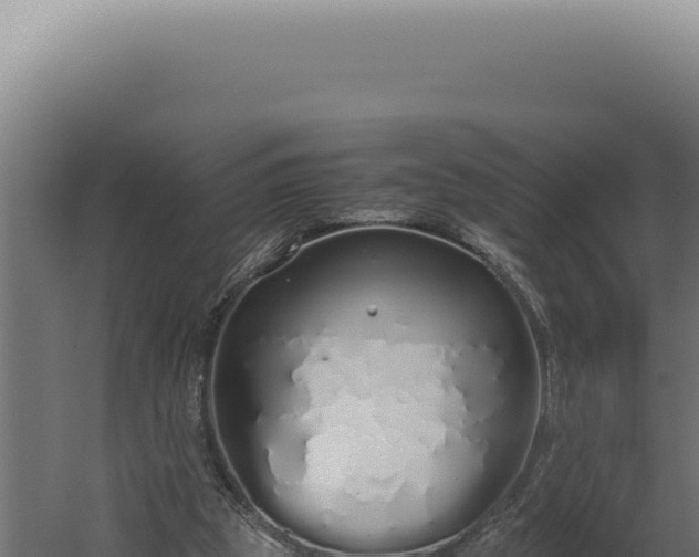 X0000060260153200511041358