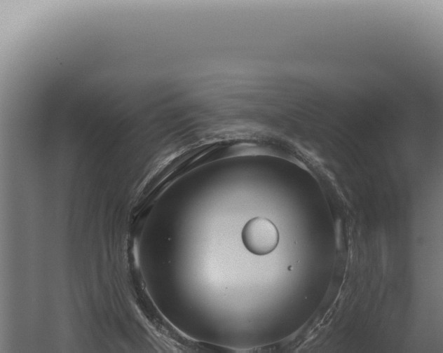 X0000060260154200511041358