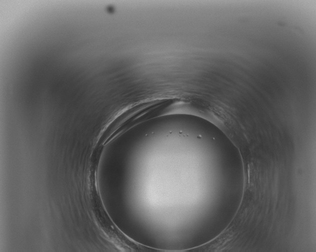 X0000060260156200511041358