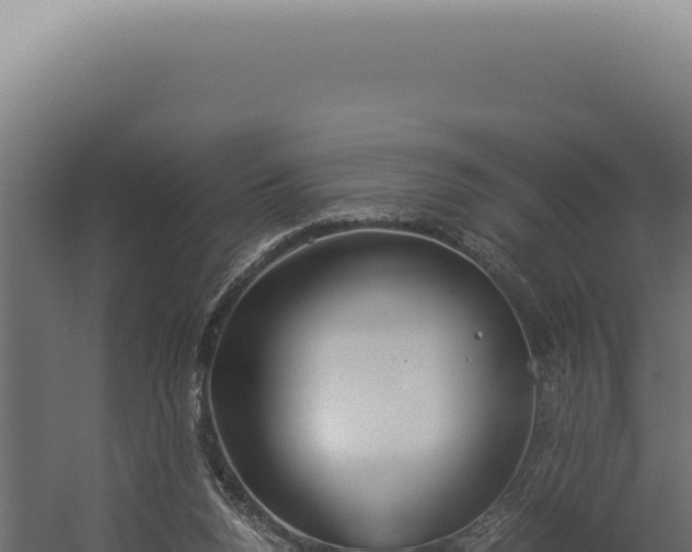 X0000060260160200511041358