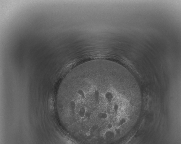 X0000060260161200511041358