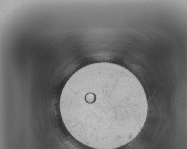 X0000060260162200511041358