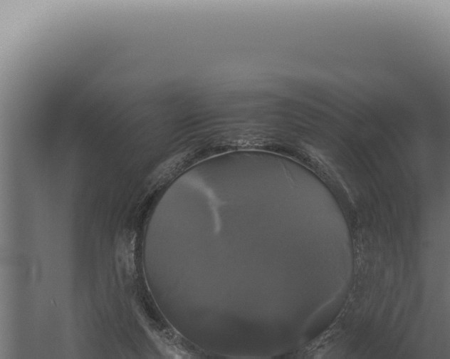 X0000060260163200511041358