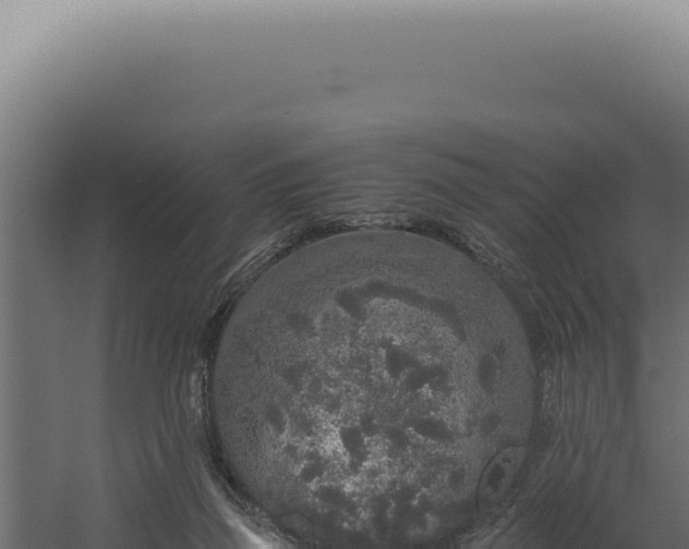 X0000060260165200511041358