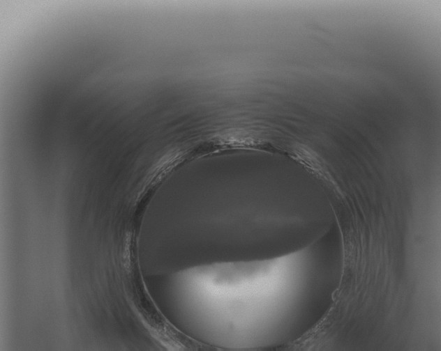 X0000060260167200511041359