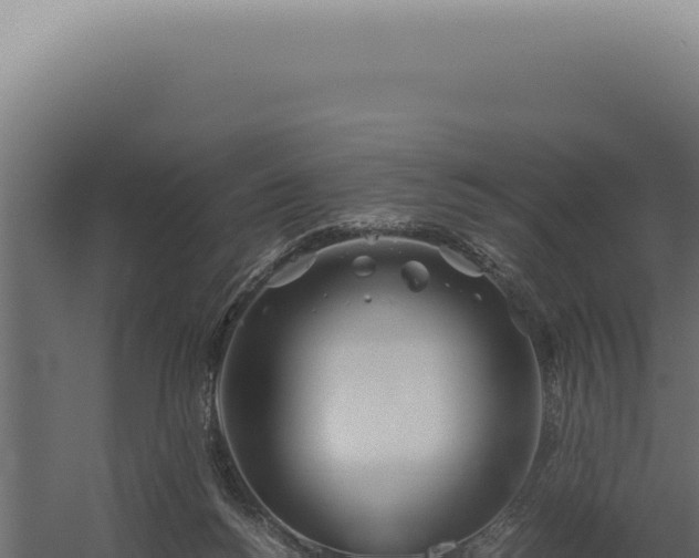 X0000060260168200511041359