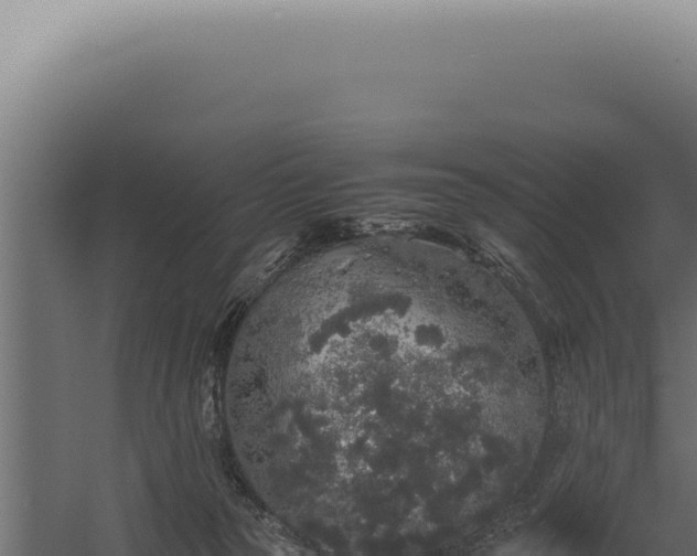 X0000060260169200511041359