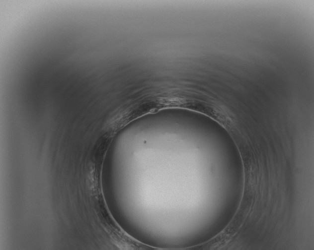 X0000060260173200511041359