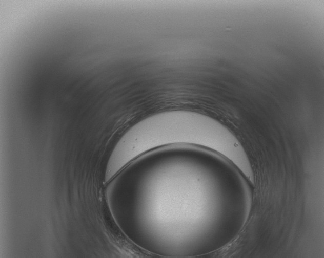 X0000060260175200511041359