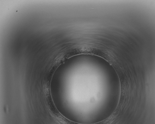 X0000060260176200511041359