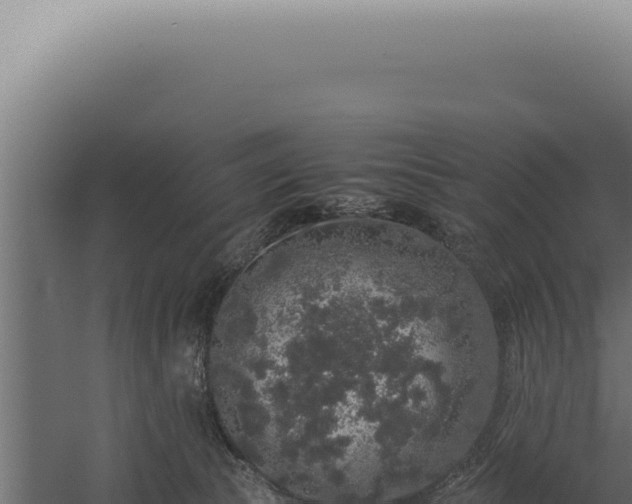 X0000060260177200511041359