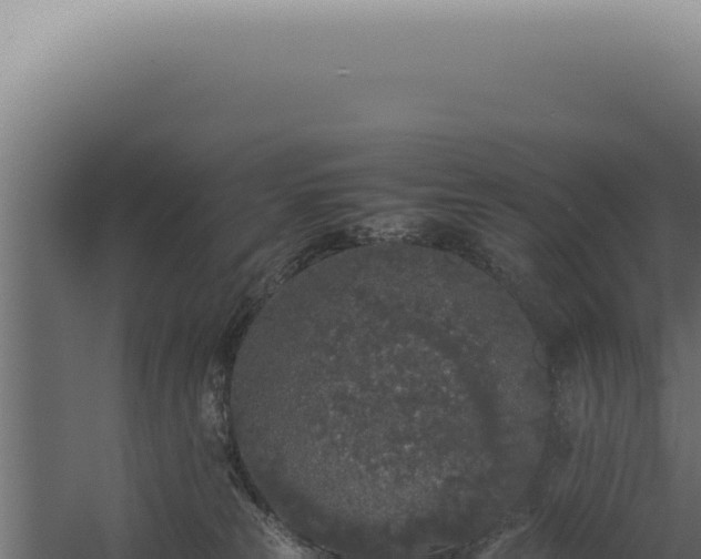 X0000060260181200511041359