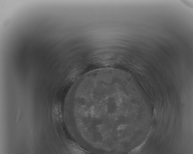 X0000060260182200511041359